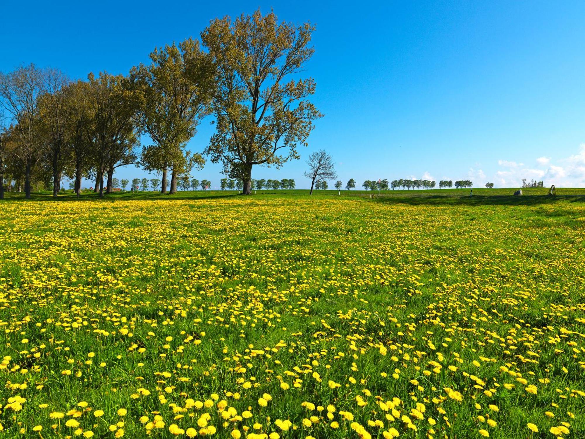Appartement Am Yachthafen Insel Poel Exteriér fotografie
